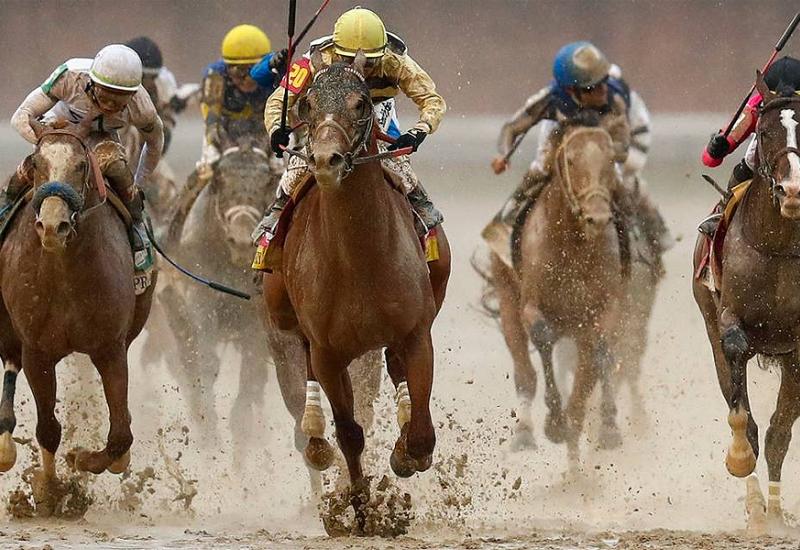 VIDEO | Konj se prepao, ljudi izgubili devet milijuna dolara