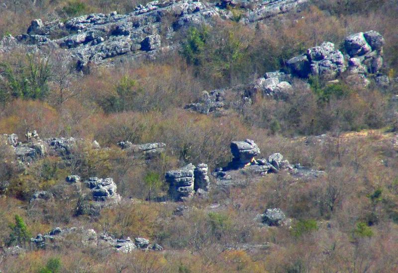 Kamene gljive 'uhvaćene' u Hercegovini