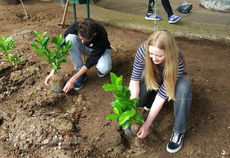 Mostar: Učenici sadnjom obilježili Dan zaštite okoliša