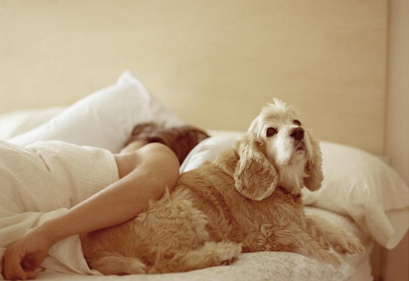 Istraživanje potvrdilo: Žene bolje spavaju uz svog psa nego uz muža 