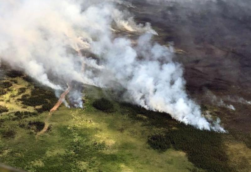 Klimatske promjene vidljive na Aljasci - Aljaska se bori s požarima
