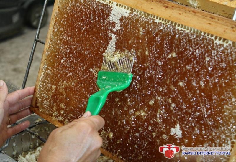 Slatka zarada: Ramski pčelar proda 700 kila meda bez problema