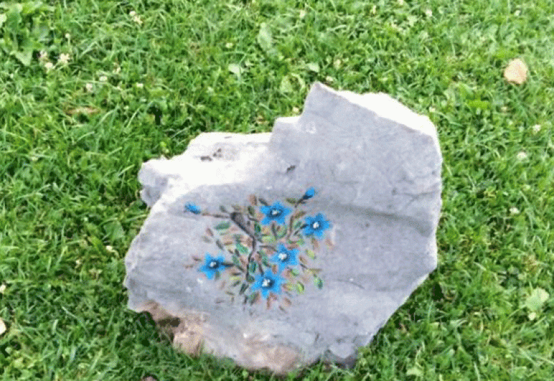 Cvijet u kamenu: Iz minimalnih uvjeta izvučen maksimum