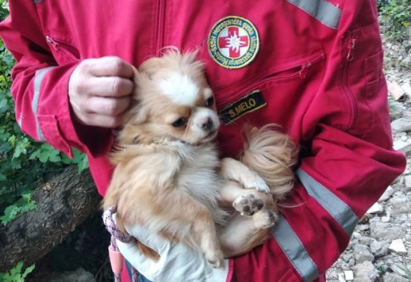 Mostar: Pogledajte hrabru akciju spašavanja psa iz provalije