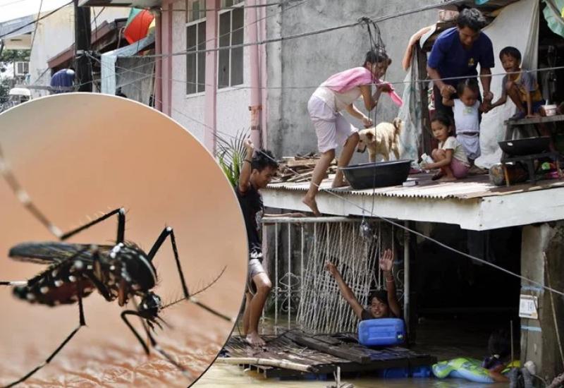 Proglašena epidemija na Filipinima - Od denga groznice na Filipinima 622 mrtvih