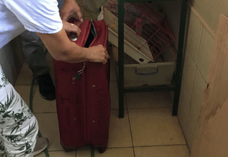 U koferu u Antaliji pronđen udav od 2,2 metra