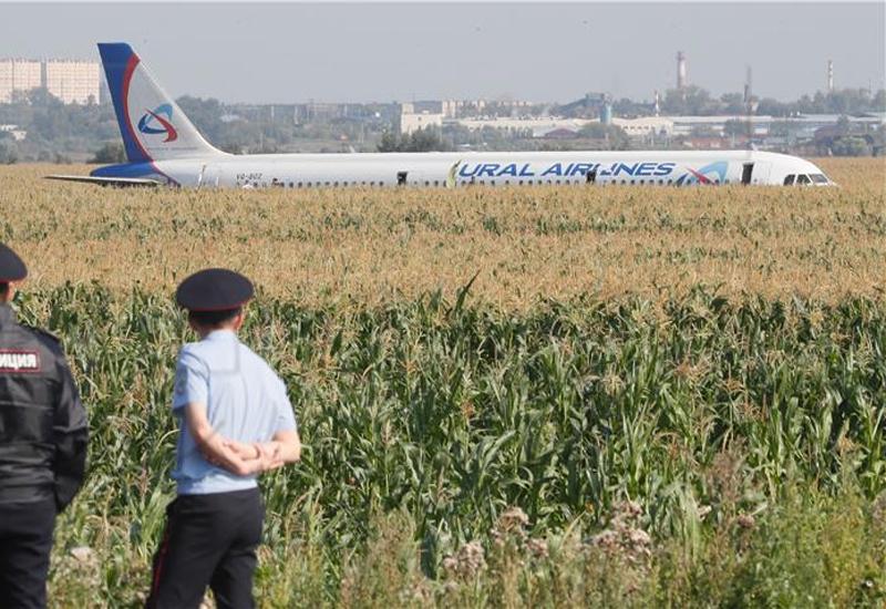 Zrakoplov sletio u polje kukuruza - Rusija: Zrakoplov sletio u polje kukuruza nakon što je udario u jato ptica