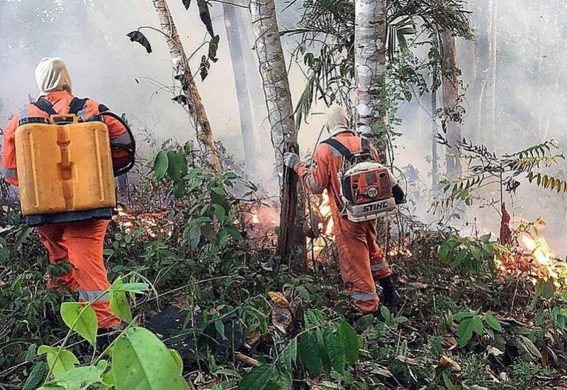  Video: Borba brazilske vojske protiv požara u Amazoniji