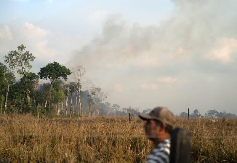 Brazil godišnje gubi 10 tisuća četvornih kilometara šume