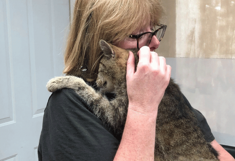 Maggie Welz i njen mačak - Pronašla izgubljenu mačku nakon 11 godina 