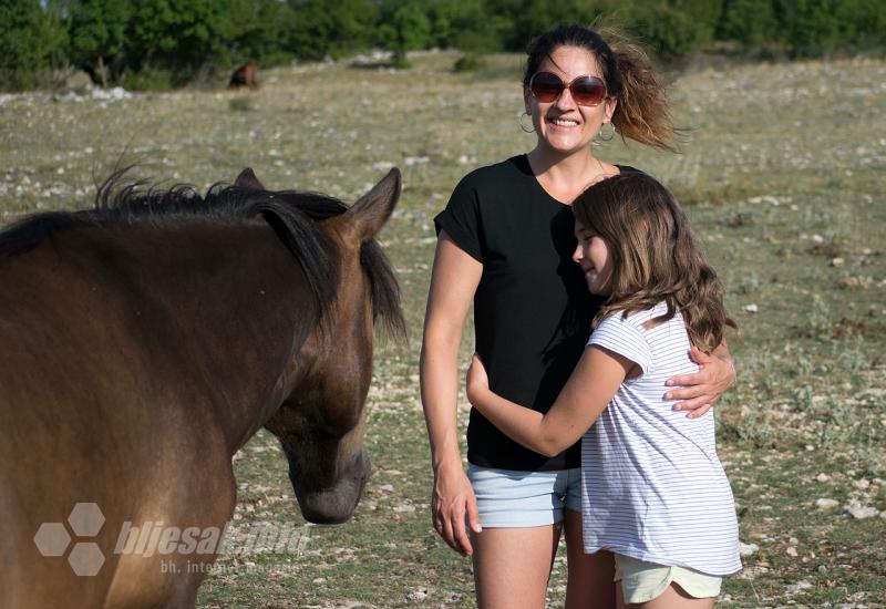 Posjetitelji uživaju s konjima na Bilima - Organizirano posjetite konje na Bilima