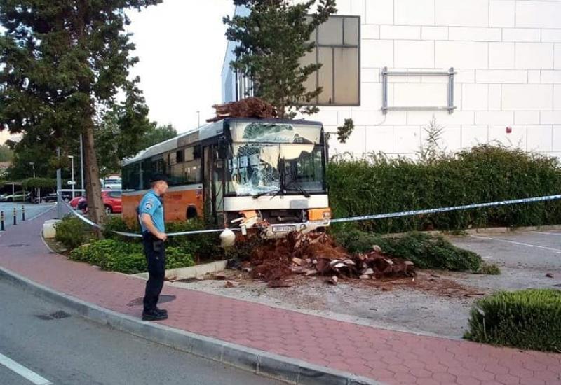 Ukrali autobus i divljali po Dubrovniku - Ukrali autobus i divljali po Dubrovniku