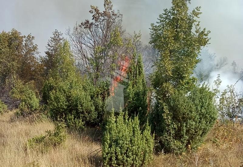 Požar u Dobrom Selu - Vatrogasci stali u kraj požaru u Dobrom selu