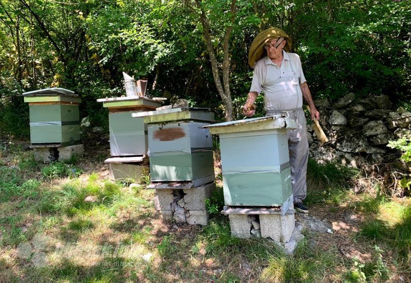 Pčelari imaju primjedbe na Nacrt zakona o pčelarstvu