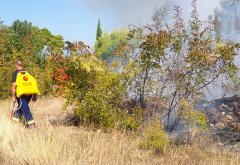Čapljina: Požar u blizini obiteljskih kuća