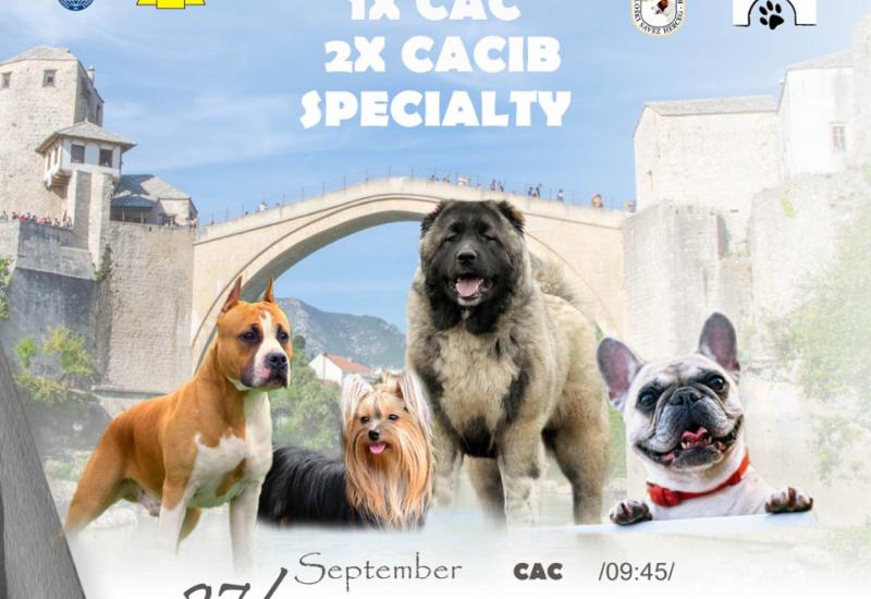 Državna i međunarodna izložba pasa stiže u Mostar