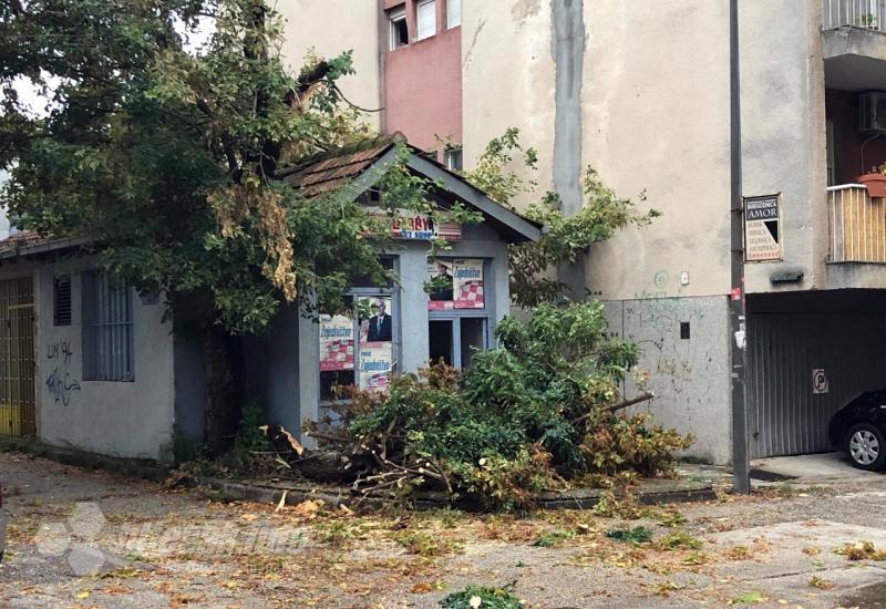 Nevrijeme u Mostaru 'pokosilo' drveće