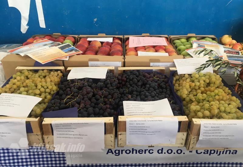 Hercegovački plodovi Mediterana u Stocu 2019. - Bogatstvo hercegovačke poljoprivrede predstavlja se u Stocu