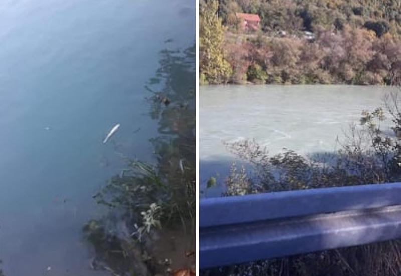 Status grupe Mostarski ribari - Ribari, inspekcija i policija istražuju: Tko muti Neretvu?