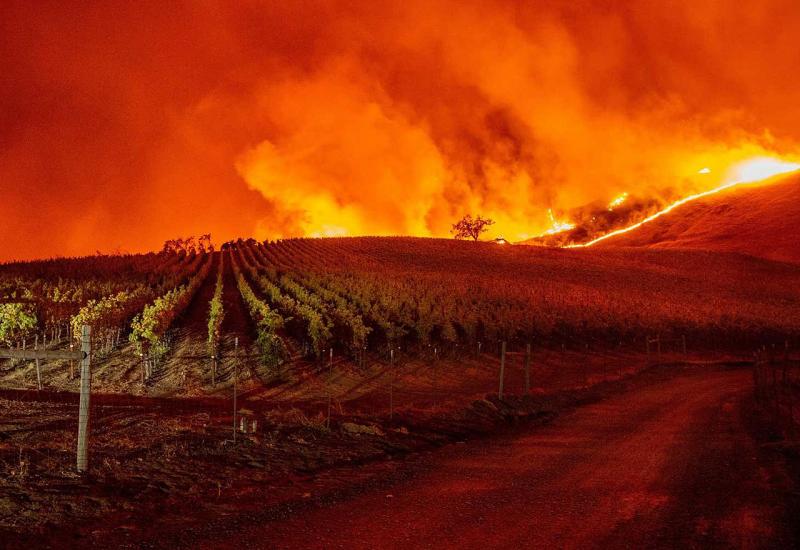 Požar zahvatio vinsku regiju Kalifornije, stotine ljudi u bijegu