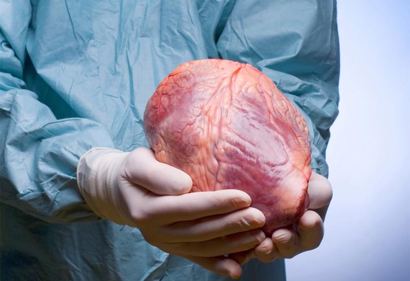 Transplantacije i spašeni životi: Šest transplantacija za sedam dana