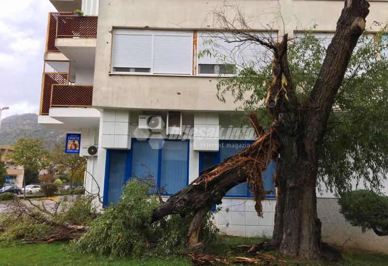 Čapljina: Vjetar srušio stablo u gradu; na selima stradali plastenici