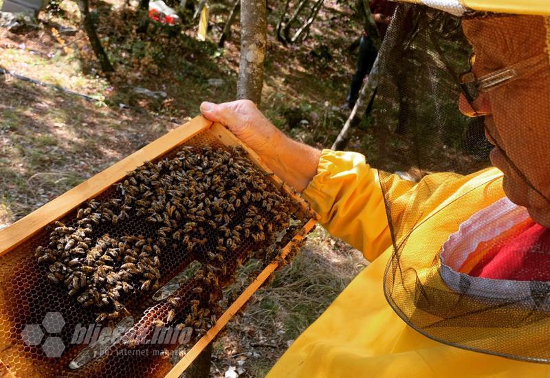 Ni korona nije mnogo utjecala na proizvodnju meda u ZHŽ-u