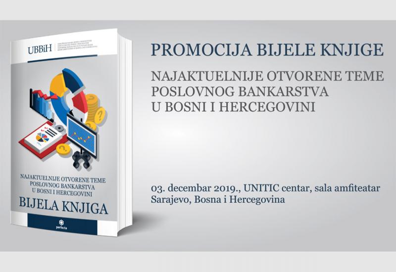 Bijela knjiga bankarstva - Bijela knjiga bankarstva u BiH