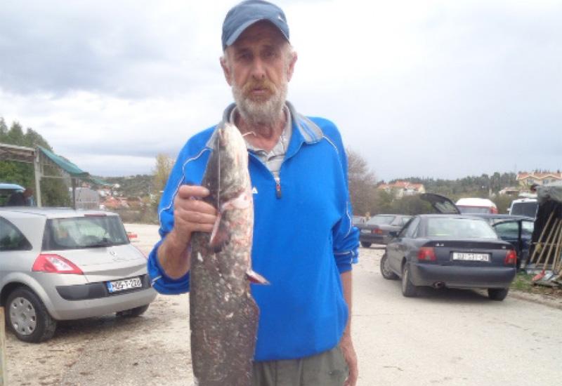 Ribar u Neretvi uhvatio soma - 