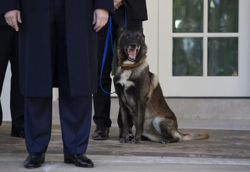 Trump odlikovao vojnog psa ranjenog u akciji protiv vođe ISIL-a
