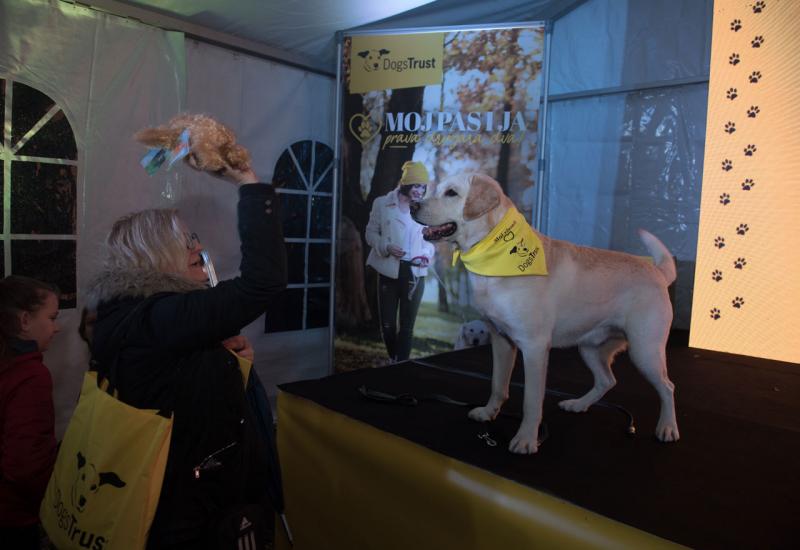 Završno druženje Dogs Trust ukazalo na važnost odgovornog vlasništva pasa