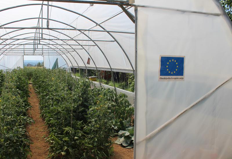 Bh. poljoprivrednici ostvarili 277 tisuća KM prihoda zahvaljujući pomoći EU