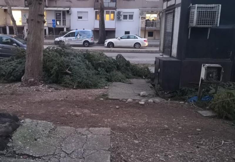 Preprodavači ostavili neprodane jelke na ulici - Mostar: Božićne jelke - ma samo ostavi 