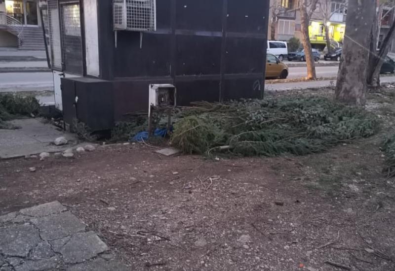Preprodavači ostavili neprodane jelke na ulici - Mostar: Božićne jelke - ma samo ostavi 
