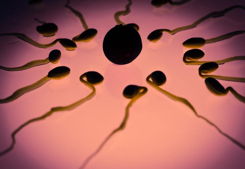 Hrvatska planira uvoz sperme i jajnih stanica 