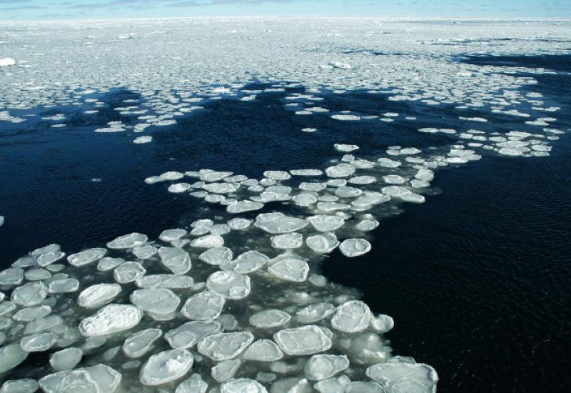 Led u obliku palačinki  - Kakve sve vrste leda postoje u Rusiji?