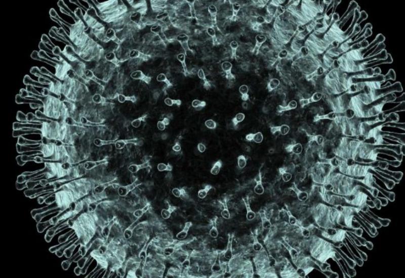 Antitijela nastala u borbi protiv obične prehlade djelotvorna i protiv koronavirusa
