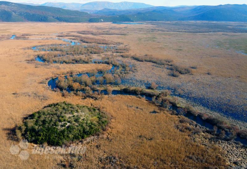 Park prirode Hutovo Blato - Invazivne vrste i ljudski faktor mogli bi uništiti Hutovo blato