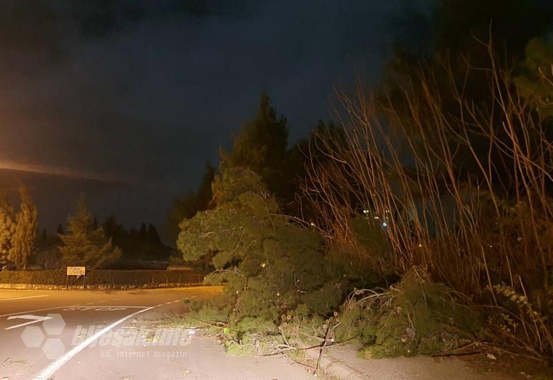 Drveće na cesti - Mostar: Vjetar oborio drveća i grana na cestu