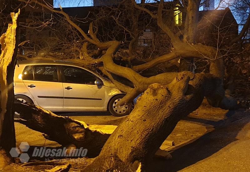 Stabla na automobilima - Stabla oštetila automobile u Mostaru