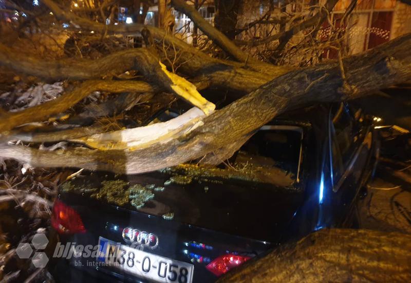 Stabla na automobilima - Stabla oštetila automobile u Mostaru