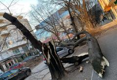 FOTO | Mostar nakon jake bure