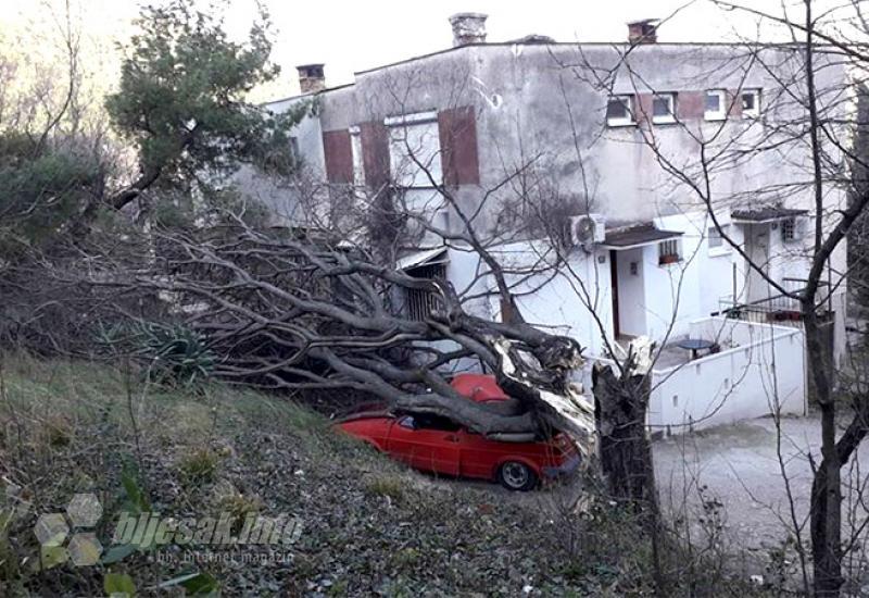 Zarobljena zgrada na Panjevini - Mostar: Stablo zarobilo ljude u zgradi