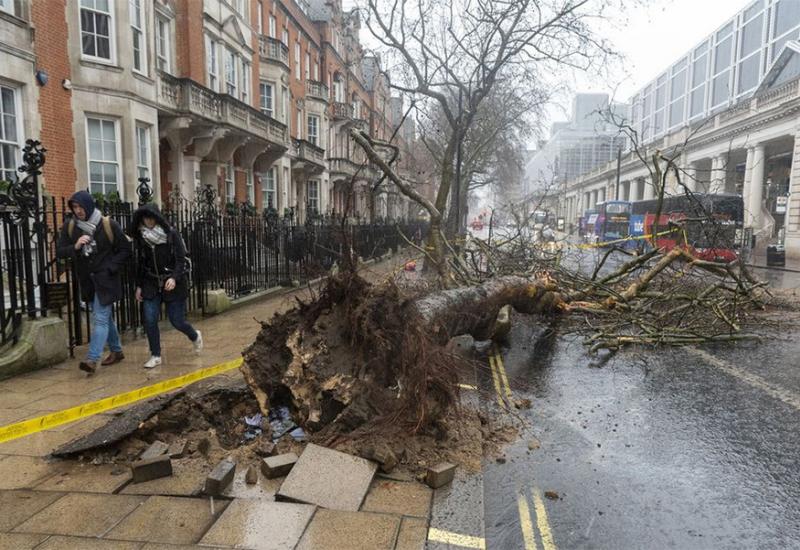 Oluja Ciara u Londonu je čupala drveće    - Oluja Ciara hara na zapadu Europe