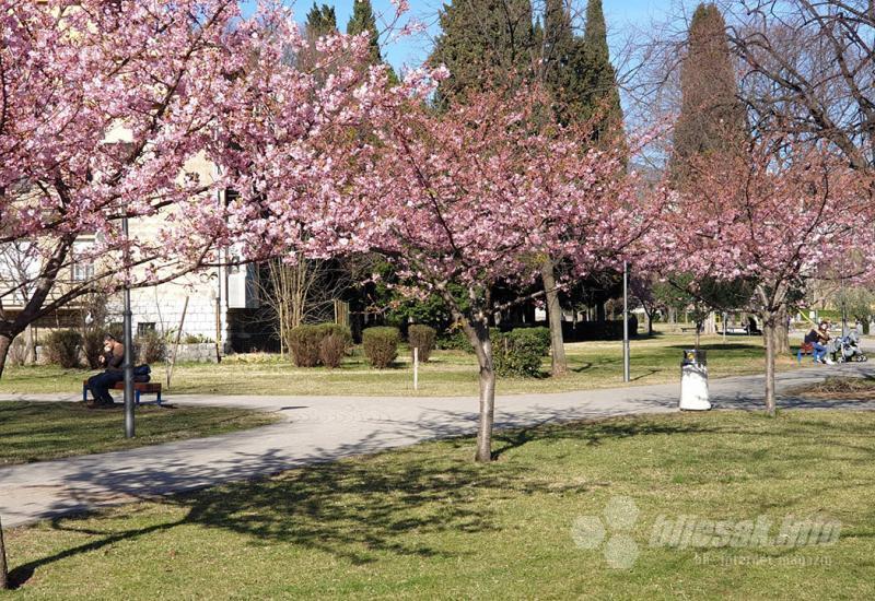 Proljeće u mostarskom parku Zrinjevac - Stiglo proljeće u Mostar