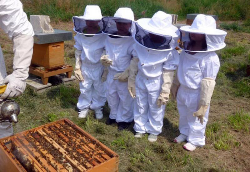 Odjel za gospodarstvo HNS-a raspravljao o pčelarstvu i poljoprivredi