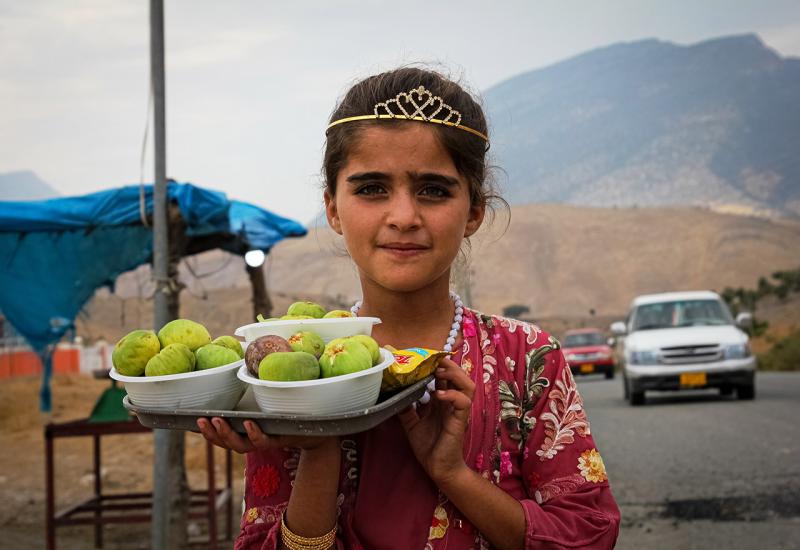 Smokve na putu za Shanidar - Putopis: Od Ljubuškog do Kurdistana
