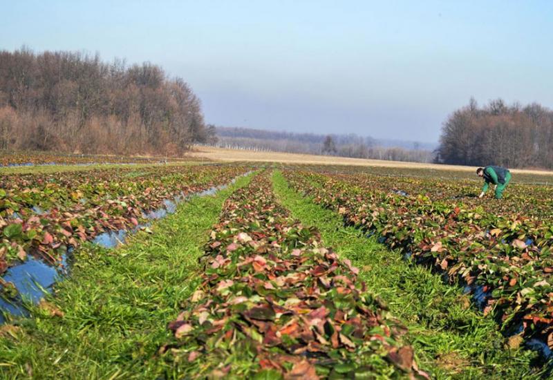 Obavijest za poljoprivrednike u Mostaru: Rok za ažuriranje registara do 31. ožujka 