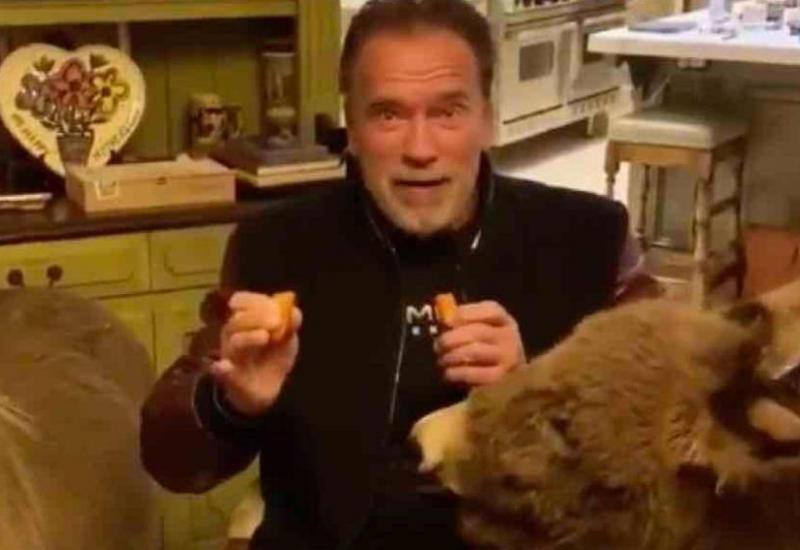 Slavni glumac obožava svoju  - Schwarzenegger hrani ljubimce u samoizolaciji: Ostanite doma, ne izlazite!