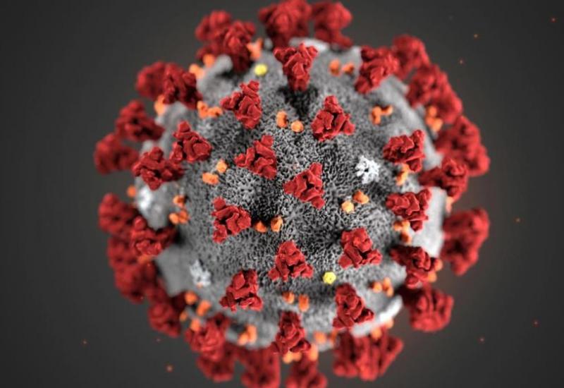 Već smo se navikli da koronavirus ovako  - Većina je uvjerena: Znademo li stvarno kako izgleda koronavirus?